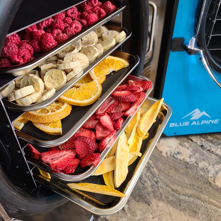Five trays of finished freeze-dried raspberries, banana, orange, strawberry and mango