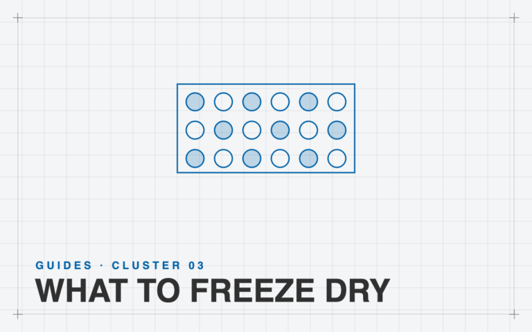 What to freeze dry