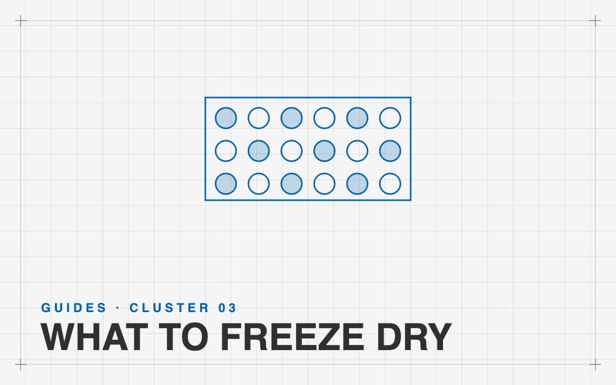 What to freeze dry